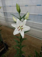 [5365 Sotsji DJ No02.JPG]